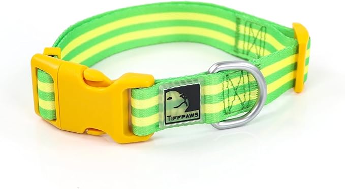 Dog Harness Collar and Leash Set, Polyester Webbing Dog Collar Easy Walking and Training Dog Harness and Leash 3-in-1 Suit Adjustable Dog Harness Collar Leash Set for Dogs(Yellow, XS) Tiffpaws