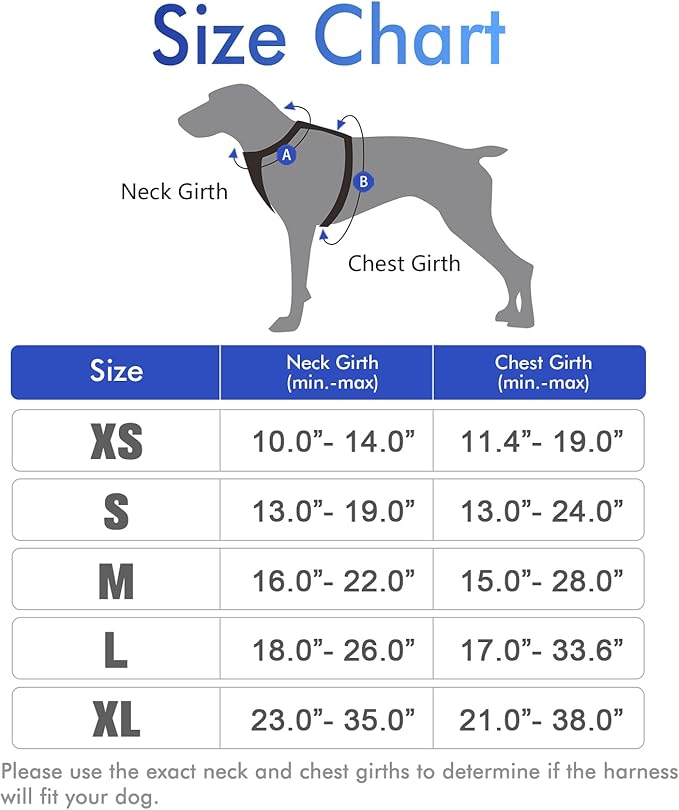 rabbitgoo Dog Harness, No-Pull Pet Harness with 2 Leash Clips, Adjustable Soft Padded Dog Vest, Reflective No-Choke Pet Oxford Vest with Easy Control Handle for Small Dogs, Dazzling Blue,XS - PAWPICO