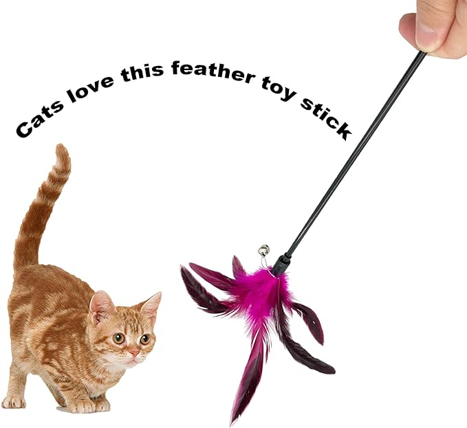 Cat Wand Toy Feather Stick Cat Toys, 6 PCS Cat Feathers Wand Toy, Interactive Cat Toy Feather Wand for Indoor Cats - PAWPICO