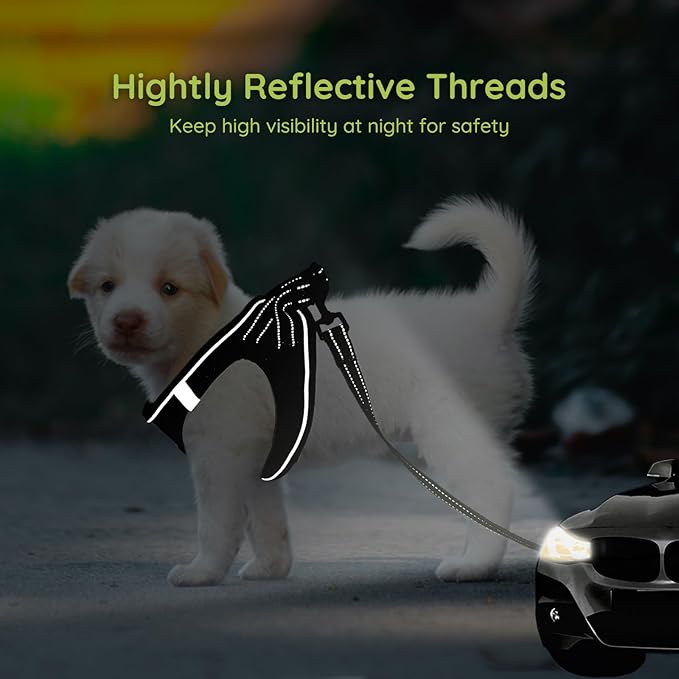 BELLA & PAL Puppy Harness with Leash Set, Dog Harness for Small Dogs No Pull, Dog Leash for Small Dogs, Step in Harness for Extra Small Dogs, Black Harness, XS BELLAPAL