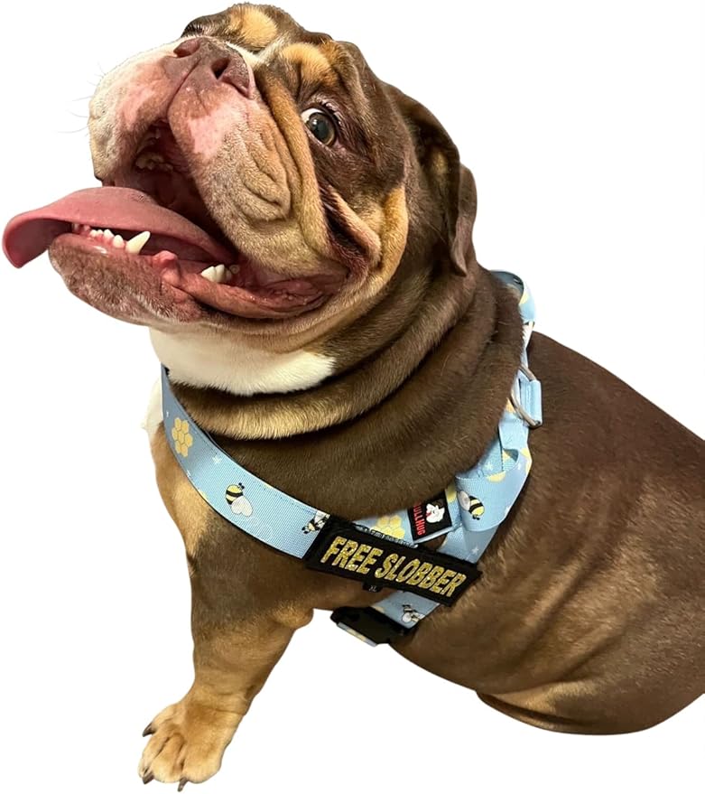 BULLHUG Harness – Made for Larger Chested Dogs Like English Bulldogs, French Bulldogs, Pugs & More. Stops Dogs from Pulling & Choking on Walks (Bumble BEE, XL) BULLHUG