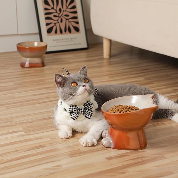 Nihow Elevated Cat/Dog Bowls Set : 6.2 Inch Ceramic Raised Cat Food & Water Bowl Set for Protecting Pet's Spine - Feeding & Watering Supplies for Cat/Small Size Dog - Elegant Brown (2PC) - PAWPICO