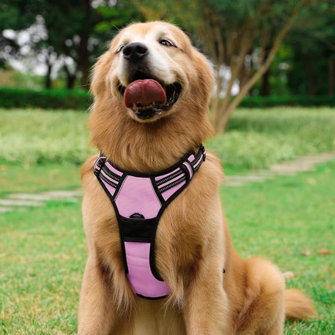 rabbitgoo Dog Harness No Pull with 2 Leash Clips, Adjustable Soft Padded, Reflective Oxford No Choke Pet Vest with Easy Control Handle for Large Dogs, Pink, L rabbitgoo