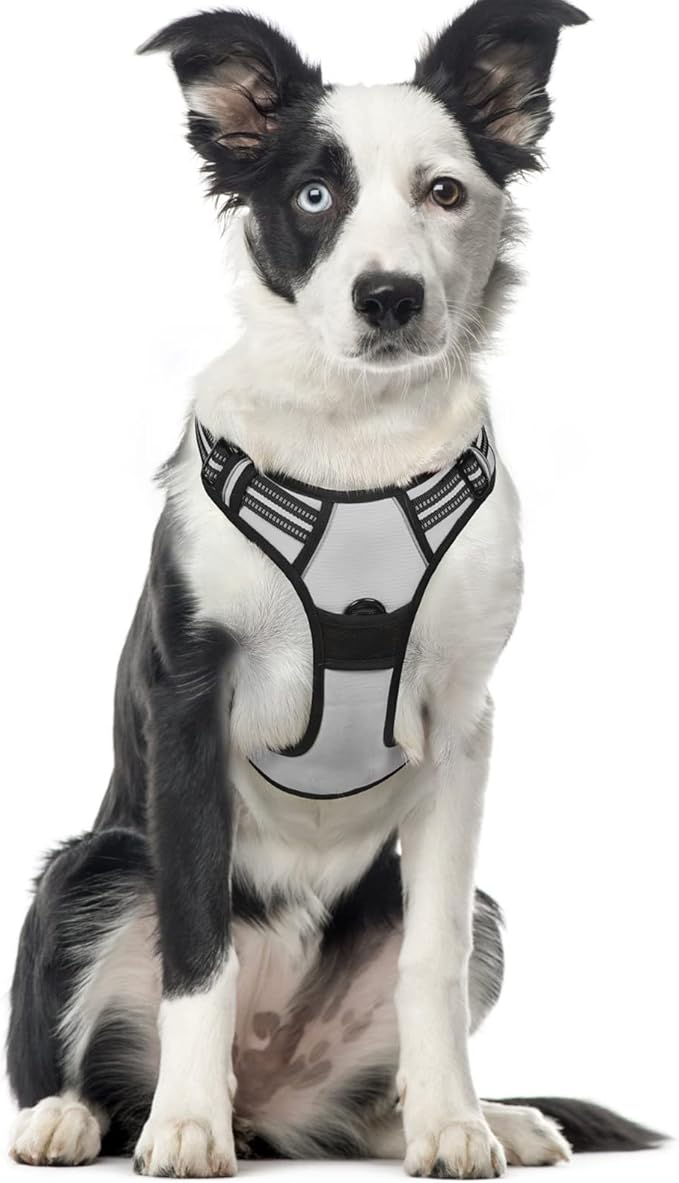 rabbitgoo Dog Harness, No-Pull Pet Harness with 2 Leash Clips, Adjustable Soft Padded Dog Vest, Reflective No-Choke Pet Oxford Vest with Easy Control Handle for Large Dogs, Grey, XL - PAWPICO