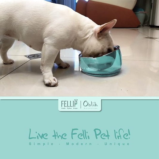 Felli Pet Oblik Spill Proof Dog Food Bowl Raised with Acrylic Cone, Slanted Stainless Steel Oval Dish Pet Friendly Design, Angled Metal Feeder Elevated Non Slip for Frenchie Bulldog (1.5Cup, Classic) - PAWPICO