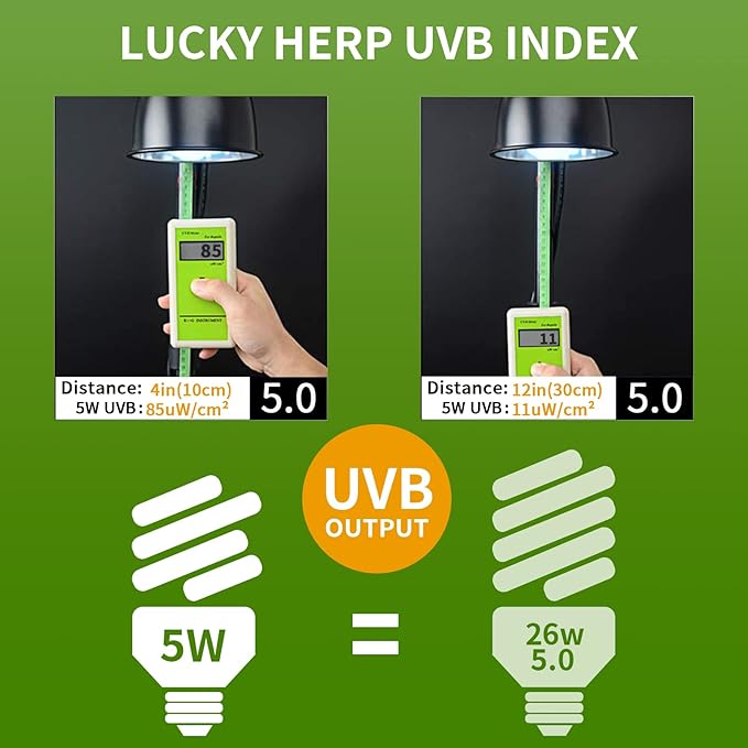 LUCKY HERP Mini UVA UVB Reptile Light 5.0 5W, UVB Bulb for All Tropical and Sub Tropical Reptiles, Compact Fluorescent Reptile UVB Bulb for Chameleons, Turtle, Gecko, Lizard, etc. LUCKYHERP