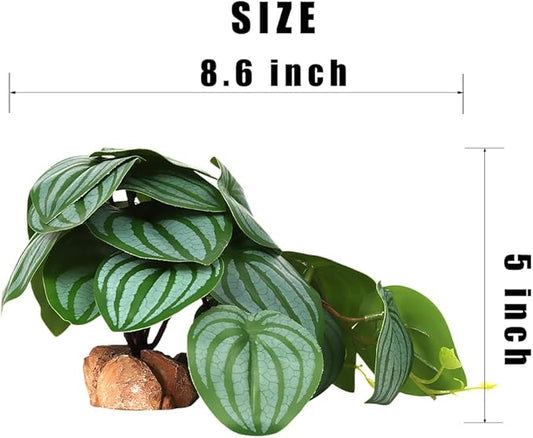 Reptile Plants for Terrarium, Ball Python Tank Decor Accessories fit Bearded Dragon Crested Leopard Gecko Lizard Chameleon Snake Frog Tortoise Hermit Crab - Fake Calathea Orbifolia WOLEDOE