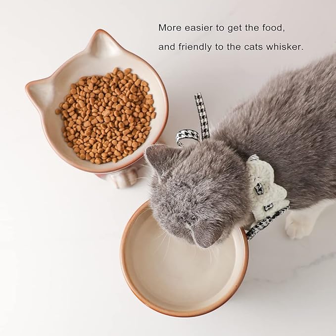 Nihow Elevated Cat/Dog Bowls Set : 6.2 Inch Ceramic Raised Cat Food & Water Bowl Set for Protecting Pet's Spine - Feeding & Watering Supplies for Cat/Small Size Dog - Elegant Brown (2PC) - PAWPICO
