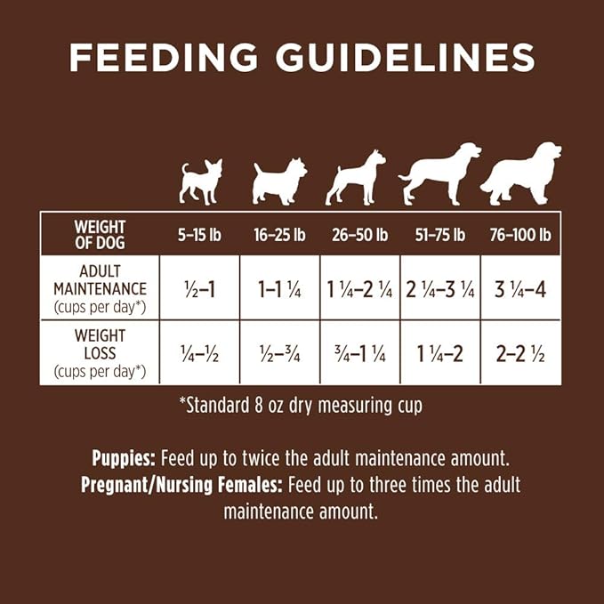 Instinct Dog Food, Grain Free Dog Food Dry, High Protein, Raw Coated Dog Food, Dog Kibble, Original Real Chicken, 4 lb. Bag - PAWPICO