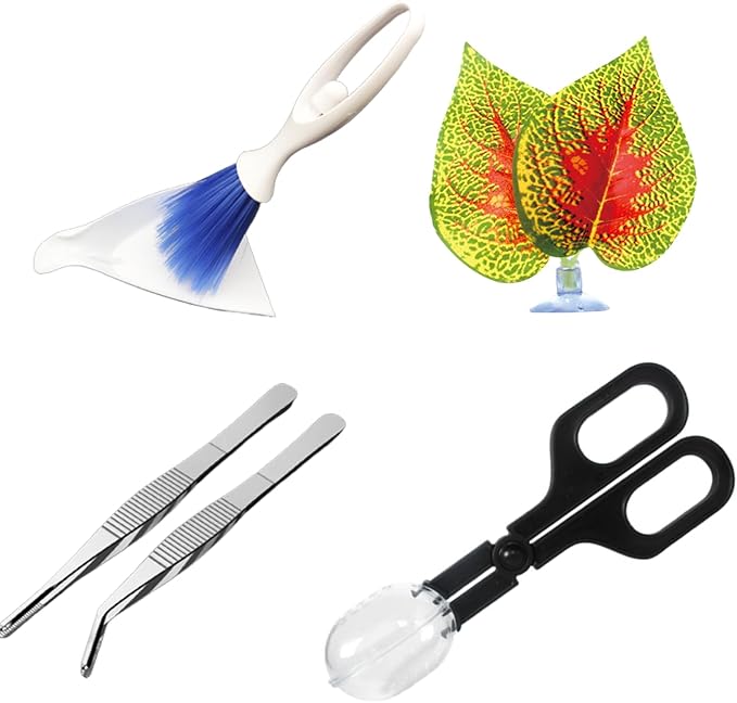 5Pcs Reptile Supplies Set, Include a Reptile Feeding Tongs, Two Stainless Steel Tweezers, Mini Dustpan, Brush and Leave for Hamsters, Turtle, Chameleon, Snake, Spider and Other Small Animals PHYPOBLE