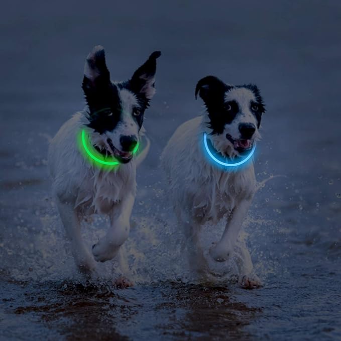 2-Pack LED Dog Collar, Light Up Dog Collars,Rechargeable Dog Lights for Night Walking,Universal, Reusable Safety Necklace for Small Medium Large Dogs Green&Blue - PAWPICO