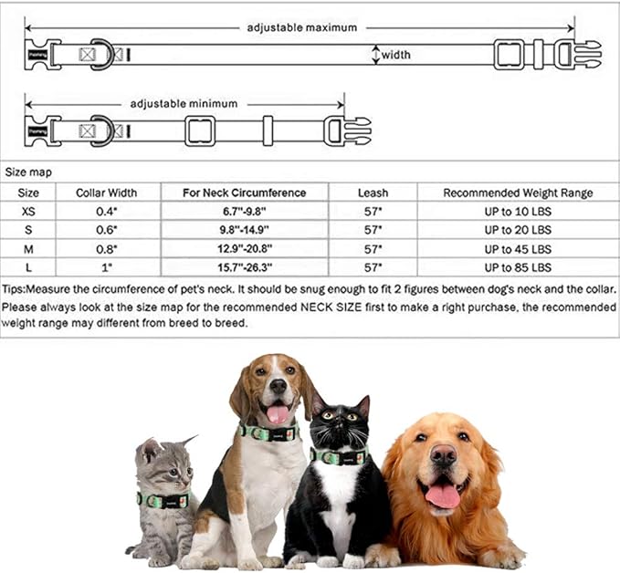 Ihoming Dog Collar and Leash Set for Daily Outdoor Walking Running Training, Floral GreenLake Design for Large Boys Girls Dogs Cats Pets, L-Up to 80LBS Ihoming