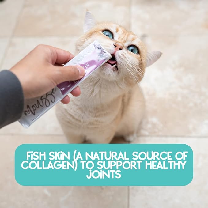 LOVE, NALA - Natural Lickable Cat Squeeze Up Treat,Topper - Variety Plus Pack Mousse - Wet Food Cat Puree - Grain Free, Fiber Blend, Minerals, Vitamins - 24 Pack - PAWPICO