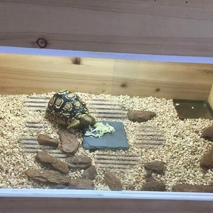 Reptile Heat Pad, Adjustable Temperature Control Lizard Terrarium Heating Mat for Small Animals Snake Turtle Bearded Dragon Gecko and Plant (5W) APlayfulBee