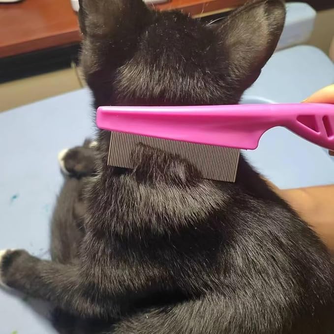 6 Pcs Flea Comb For Cats,Stainless Steel Dog Cat Grooming Combs with Rounded Teeth,Multifunctional Pet Lice Comb Tear Stain Removal,Pet Comb for Detangling and Dematting Face & Paws msloosily