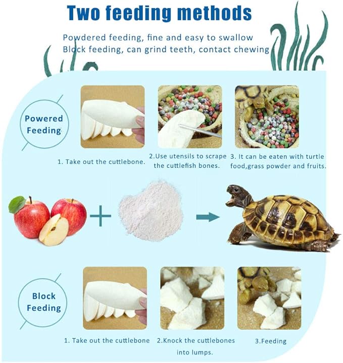 2PCS Natural Cuttlebone for Tortoise Turtles Snails Birds Cockatiels Parakeets Budgies Reptiles Small Animals(4"-4.5",Small) PAWPICO