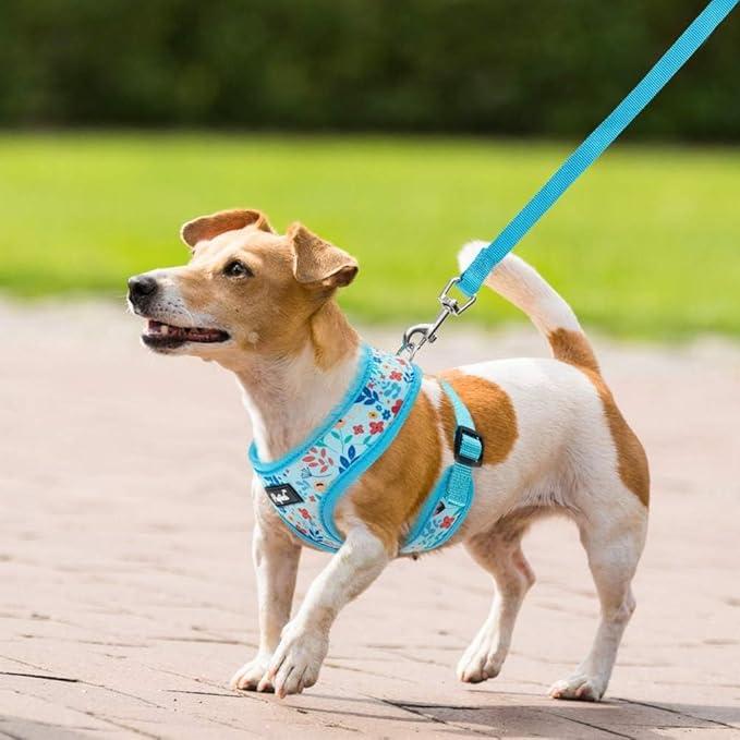 PUPTECK Soft Mesh Dog Harness and Leash Set Pet Puppy Cat Comfort Padded Vest No Pull Harnesses, Blue Floral, S PUPTECK