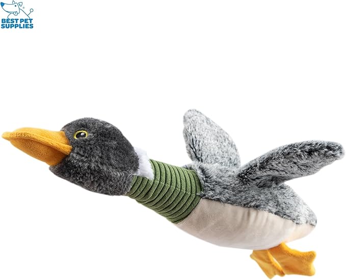 Best Pet Supplies Interactive Mallard Mates Dog Toy with Crinkle and Squeaky Enrichment for Small and Medium Breed, Cute and Plush - 3 Ducks (Mystery Box), Medium - PAWPICO