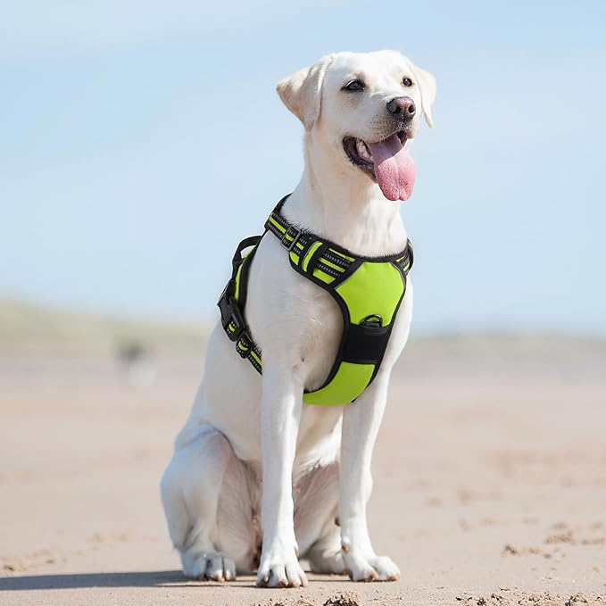 Eagloo Dog Harness for Large Dogs, No Pull Service Vest with Reflective Strips and Control Handle, Adjustable and Comfortable for Easy Walking, No Choke Pet Harness with 2 Metal Rings, Green, L GoExplorewithEagloo