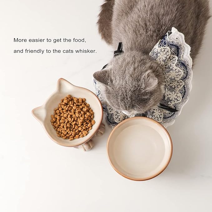 Nihow Elevated Cat/Dog Bowls: 5 Inch Ceramic Raised Cat Food & Water Bowl Set for Protecting Pet's Spine - Feeding & Watering Supplies for Pets - Elegant Brown (4.5 OZ /1 PC) - PAWPICO