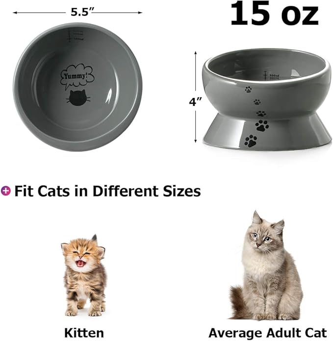 Y YHY Elevated Cat Food Bowl, Raised Pet Food and Water Bowl, Ceramic, 15oz - PAWPICO