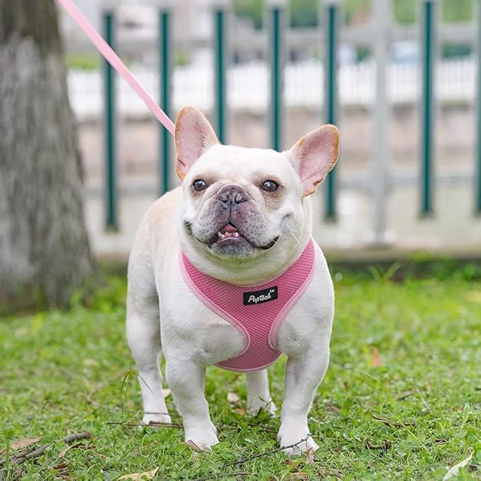 PUPTECK Soft Mesh Dog Harness and Leash Set Pet Puppy Cat Comfort Padded Vest No Pull Harnesses, Solid Pink, L PUPTECK