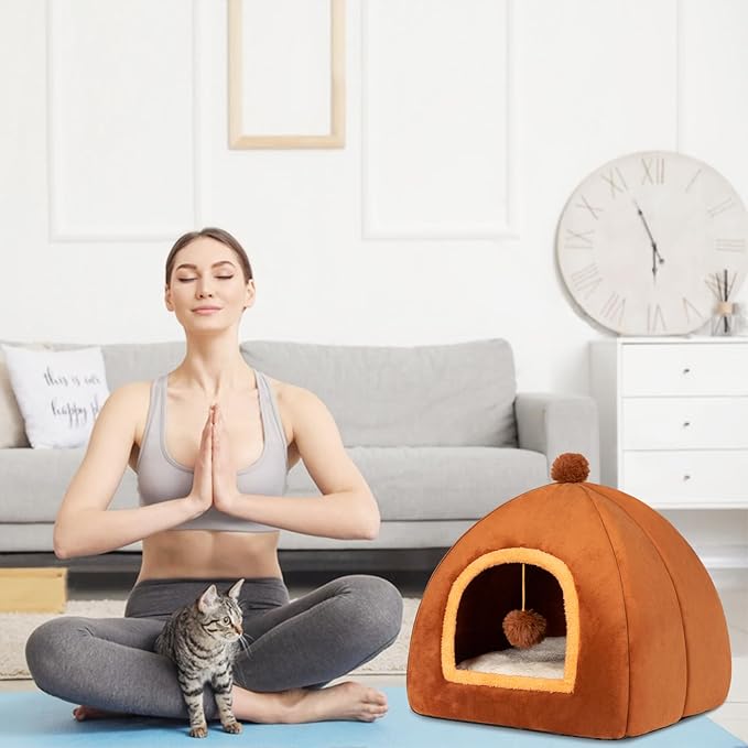 Cat Bed Cave for Indoor Cats,Cat House Tent Bed with Removable Washable Cushioned Pillow, 2-in-2 Kitten Beds for Indoor Kittens,Pet Bed - PAWPICO