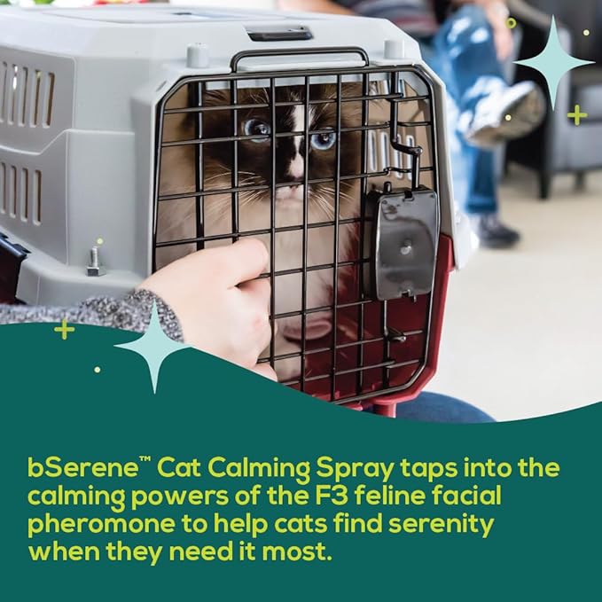 Pheromone Calming Spray for Cats 60mL bSereneCalmingforCatsandDogs