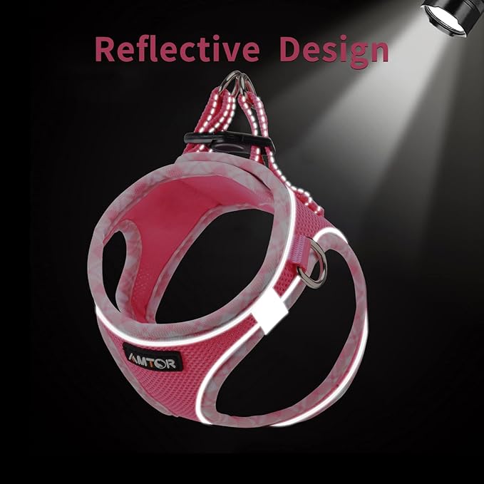 AMTOR Small Dog Harness with Leash Set, No Escape Easy Walk Puppy Harnesses for Training Walking, Step-in Reflective Soft Dogs Vest for XS S Medium Extra-Small Large Sized Dog(Fuchsia,XXS) AMTOR