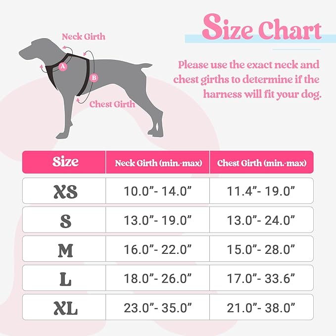 rabbitgoo Dog Harness No Pull with 2 Leash Clips, Adjustable Soft Padded, Reflective Oxford No Choke Pet Vest with Easy Control Handle for Puppy, Pink & Blue, XS rabbitgoo