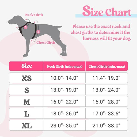 rabbitgoo Dog Harness No Pull with 2 Leash Clips, Adjustable Soft Padded, Reflective Oxford No Choke Pet Vest with Easy Control Handle for Medium Sized Dogs, Pink & Blue, M rabbitgoo