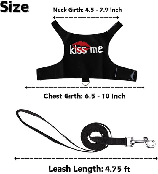 Bearded Dragon Harness and Leash Set - Adjustable Lizard Harness with Glow in The Dark Print Outdoor Traction Rope Walking Leash Reptile Halloween Costume Accessories for Small Pets (Black) SEZDEKI