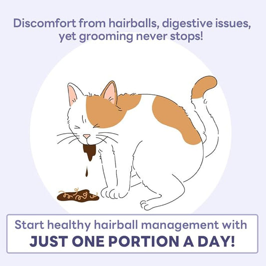 DoctorBy HB Care Hairball Supplement for Cats– Korean Made Hairball Relief Furball Control Remedy & Digestive Support Supplements with Omega-3, Chitosan-30 Individuallly Packaged (1 Pack, 30 Count) DrBY