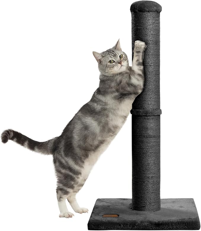 34inch Cat Scratching Post with Natural Sisal Rope 4.3Inch Large Diameter Scratcher Post Tree for Indoor Cats Black - PAWPICO