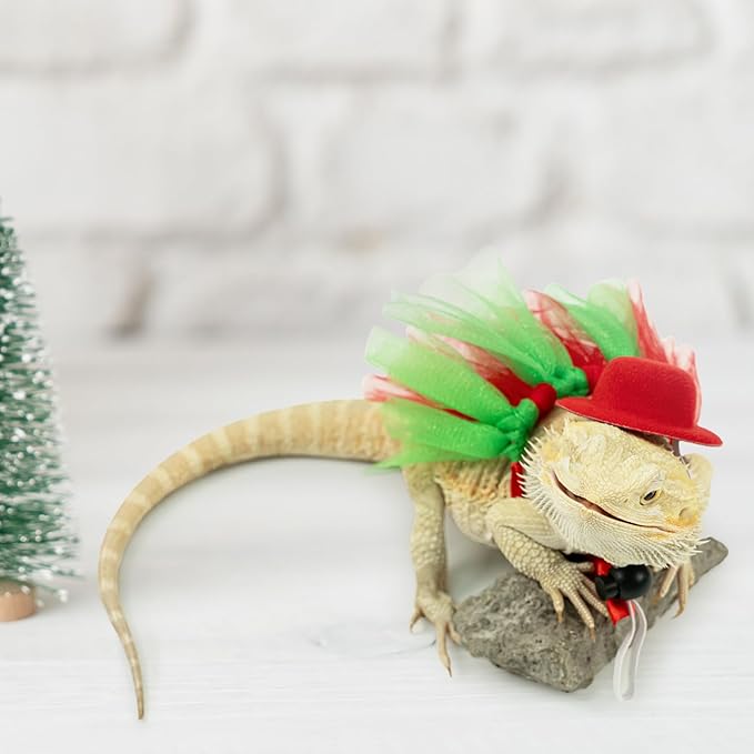 Bearded Dragon Christmas Costume Tutu Skirt Bowler Hat Leash Harness Reptile Christmas Cosplay Accessories Set for Lizard Leopard Gecko(Red) WODISON