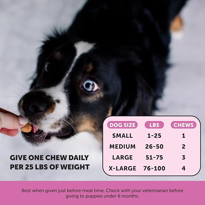 Pet Honesty Dog Multivitamin - 10 in 1 Dog Vitamins for Health & Heart - Fish Oil for Dogs, Glucosamine, Probiotics, Omega Fish Oil - Dog Vitamins and Supplements for Skin and Coat (Chicken 180 ct) PetHonesty
