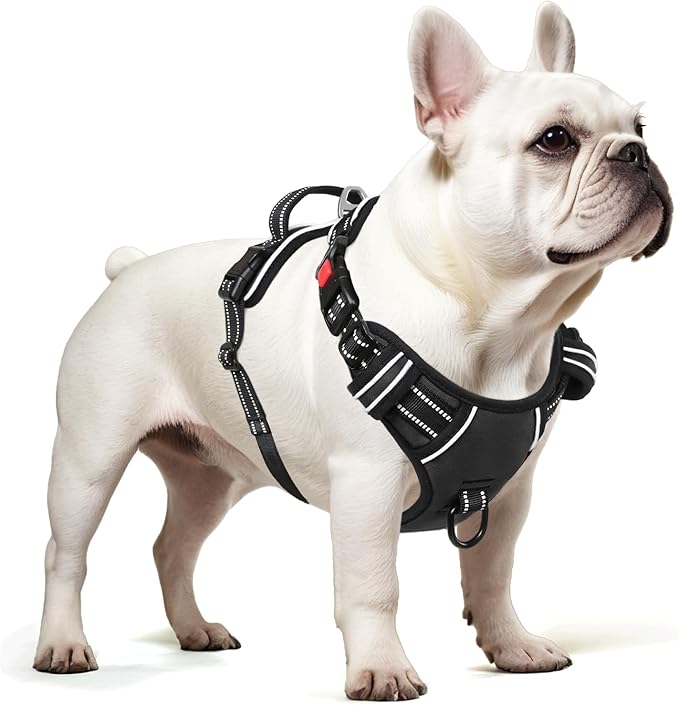 Timos Dog Harness, 3 Snap Buckles No-Pull Soft Padded Dog Vest with 2 Metal Leash Clips, Adjustable Reflective No Choke Pet Harness with Easy Control Handle for Small Dogs,Black,S Timos