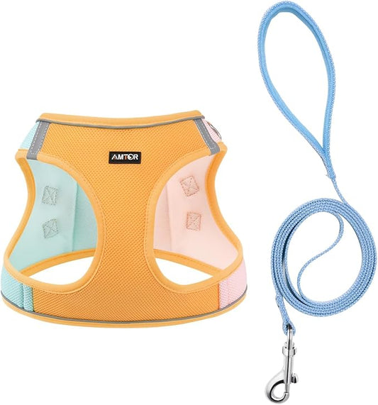 AMTOR Small Dog Harness with Leash Set, No Escape Easy Walk Puppy Harnesses for Training Walking, Step-in Reflective Soft Dogs Vest for XS S Medium Extra-Small Large Sized Dog(Orange) AMTOR