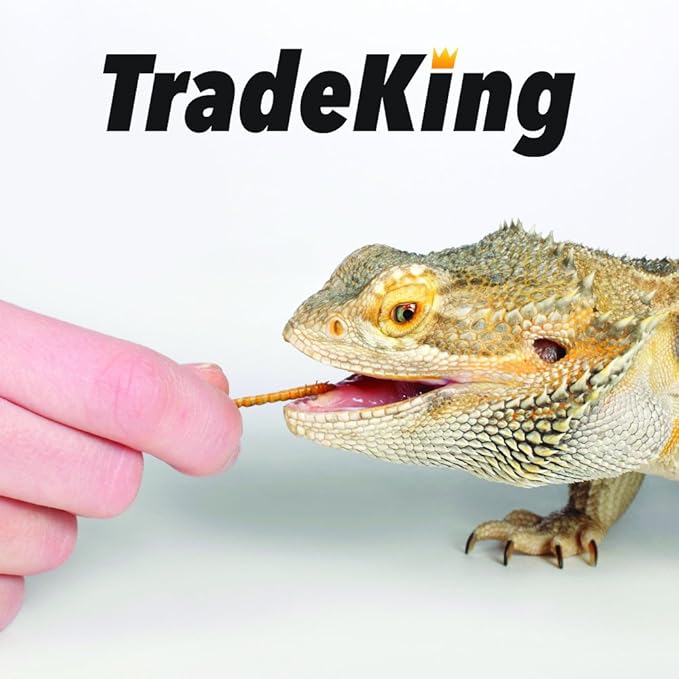 1 lb Dried Mealworms - High Protein Treat for Wild Birds, Chicken, Fish & Reptiles TradeKing