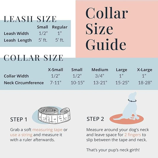 Lucky Love Dog, Summer Stripes Dog Collar and Leash Set, Yellow, Pink, Blue Summer Dog Collar and Leash, Cute Dog Combo Set for Girl Boy Dogs - (Extra Large, Molly Combo) LuckyLoveDog