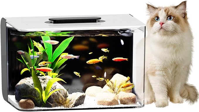 Betta Fish Tank, 2.5 Gallon Aquarium Kit with Filter, Light, Self Cleaning, Oxygenation, Small All in One Starter Fish Tank for Goldfish, Guppy, Shrimp, Desktop, Acrylic REDTAILFISH