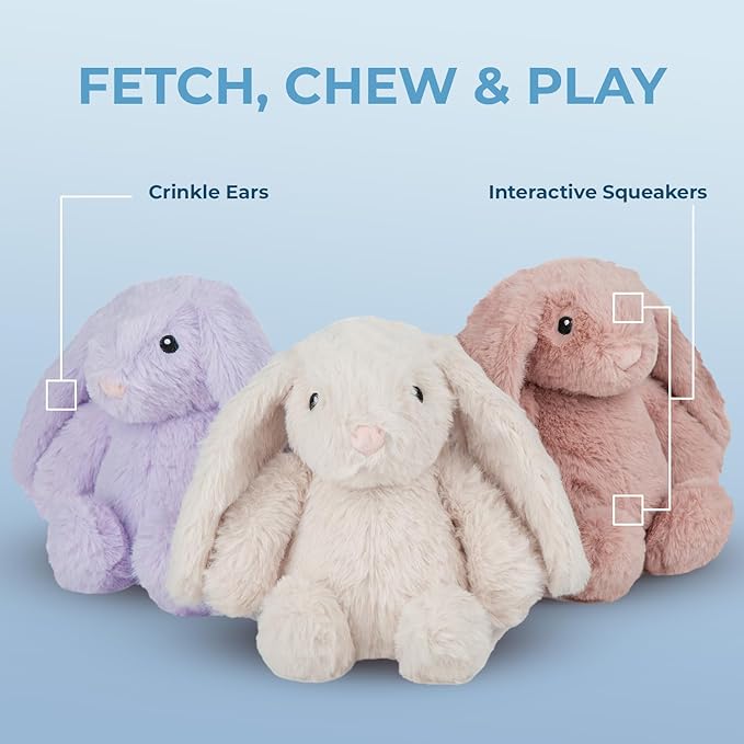 Best Pet Supplies Interactive Bunny Buddy Dog Toy with Crinkle and Squeaky Enrichment for Small and Medium Breed Puppies or Dogs, Cute and Plush - Bunny (Purple), Small - PAWPICO