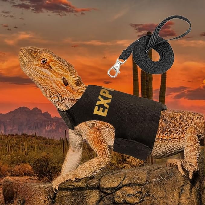 Bearded Dragon Leash and Harness Set, Adjustable Lizard Reptile Leashes Bearded Dragon Rope Accessories for Bearded Dragon Lizard Small Pets Outdoor Safety Walking(Explorer Character) HOKABLE