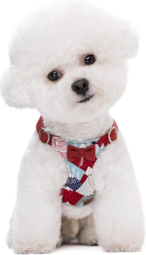Puppytie No Pull Small Dog Harness with Multifunction Dog Leash,Lightweight Soft Adjustable No Choke Escape Proof Pet Harness Vest Pet Harness Vest,Suede Bow red,S Puppytie