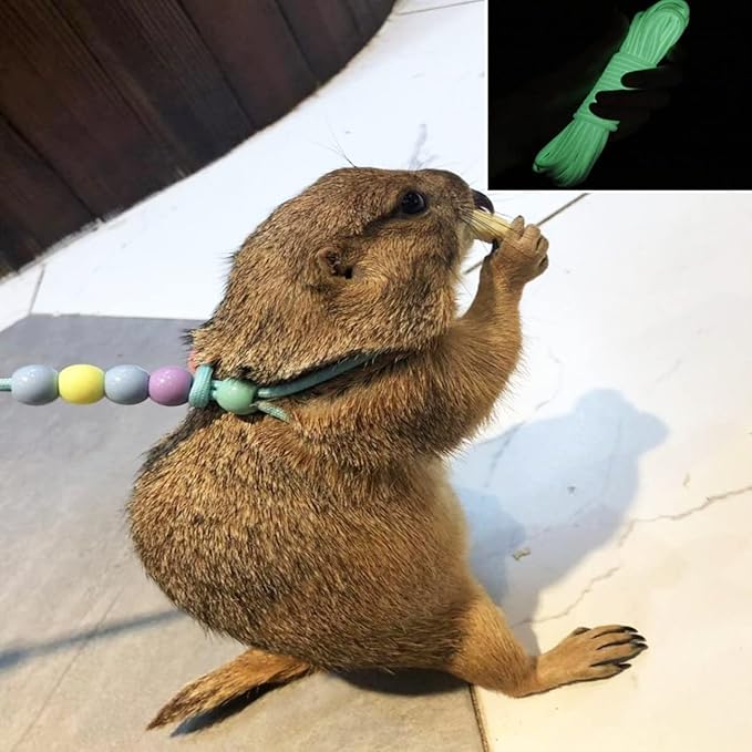 1 Pcs Adjustable Lizard Harness Adjustable Walking Harness Bearded Dragon Leash Reptile Dragon Leash Adjustable Harness Lead for Small Animal Hamster Reptiles Duoduole