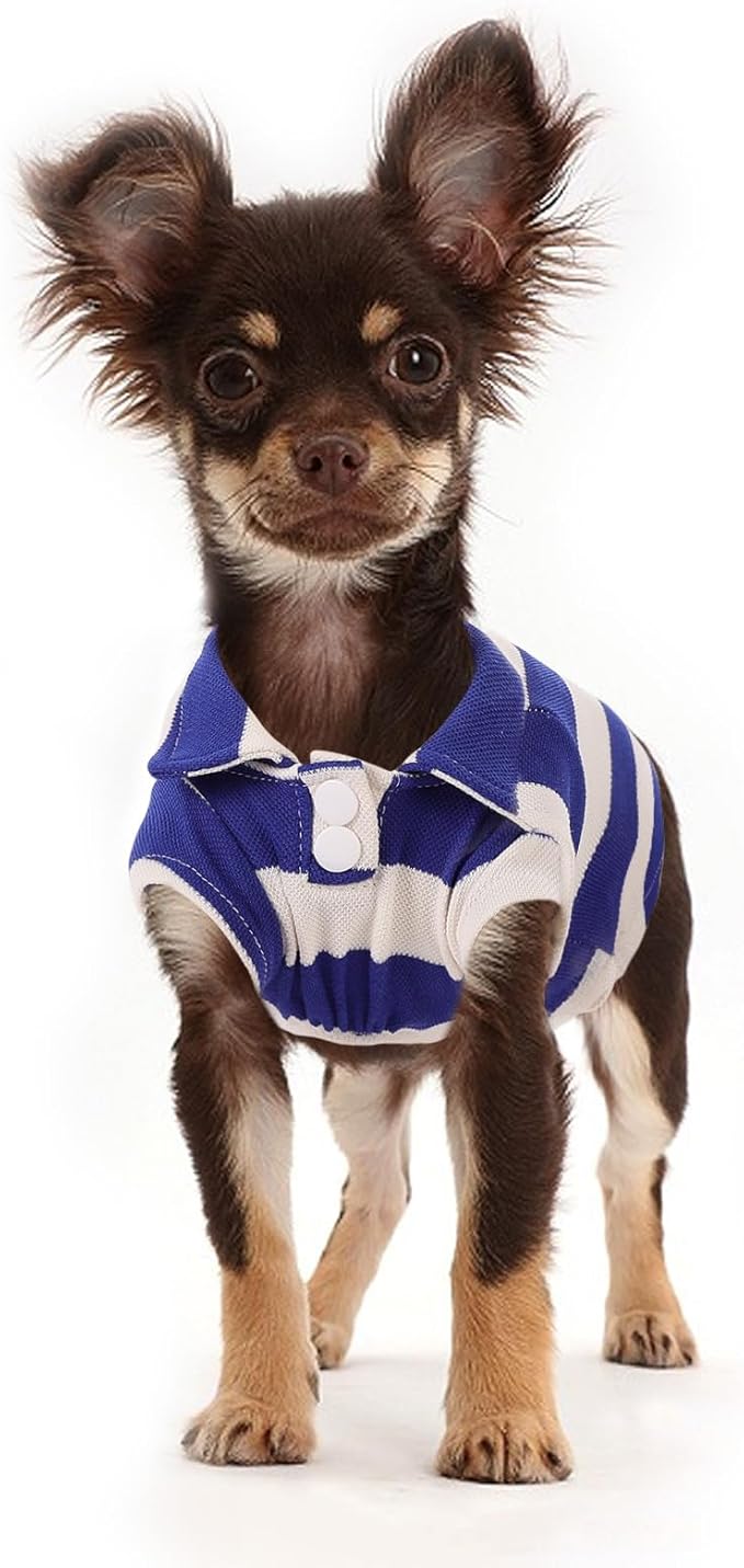 2 Pack Guinea Pig Clothes Rabbit Summer T-Shirt Pet Costume Vest for Small Animal Kitten Ferret Chihuahua Puppy KAMABRIDAL