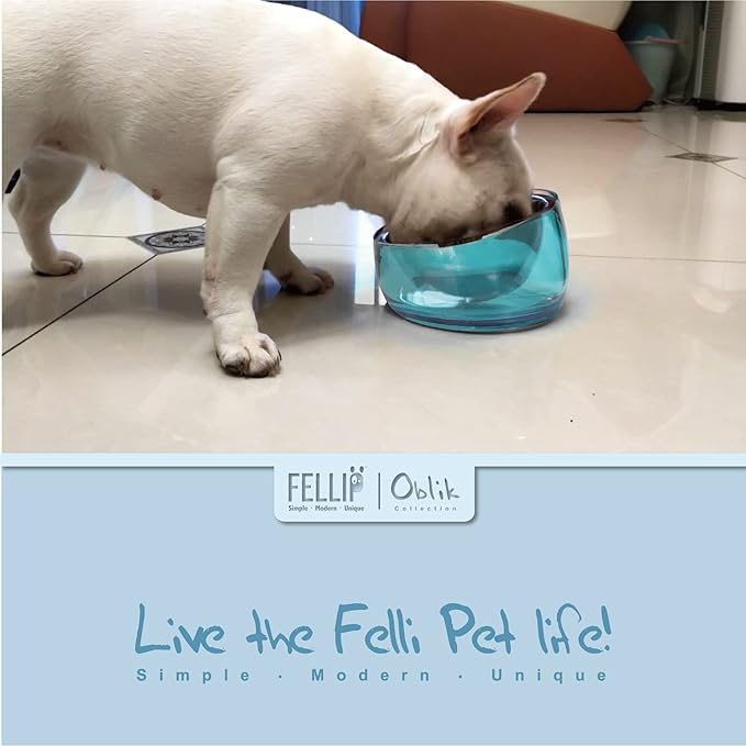 Felli Pet Oblik Slanted Dog Food Water Bowl Elevated Stainless Steel Oval Dish Ergonomic Angled Metal Feeder Spill Proof Non Slip, Raised Acrylic Cone for Bulldog Pug Small Medium (1.5Cup Sapphire) - PAWPICO