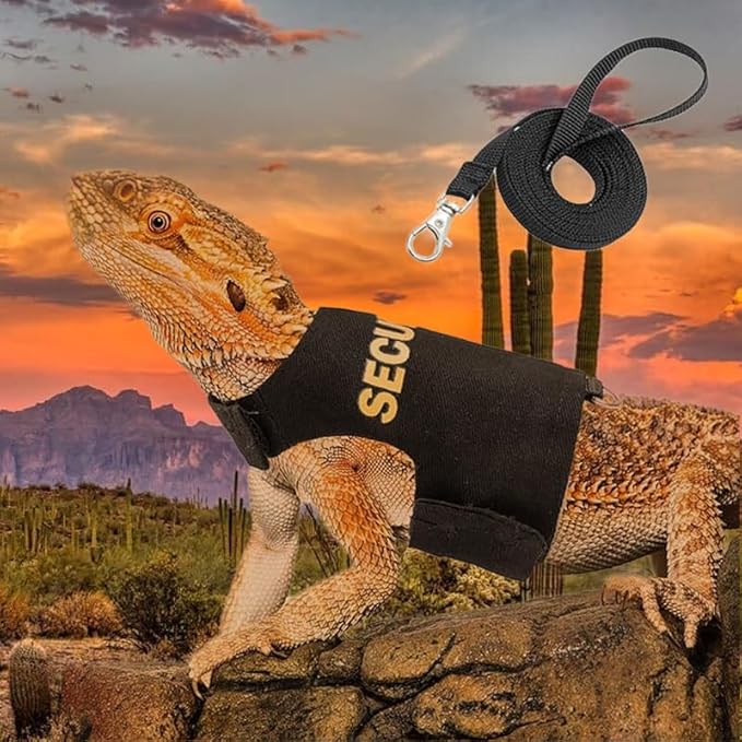 Bearded Dragon Leash and Harness Set, Adjustable Lizard Reptile Leashes Bearded Dragon Rope Accessories for Bearded Dragon Lizard Small Pets Outdoor Safety Walking(Security Character) HOKABLE