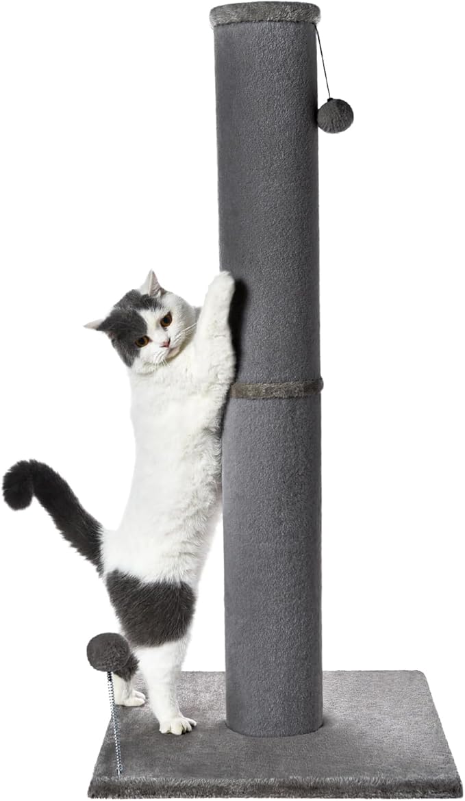 Cat Craft Bobcat Cat Scratching Post for Indoor Cats, Tall Cat Scratch Post, Carpet Cat Scratching Post with Replaceable Toys, Sturdy Base, Large, Gray - PAWPICO