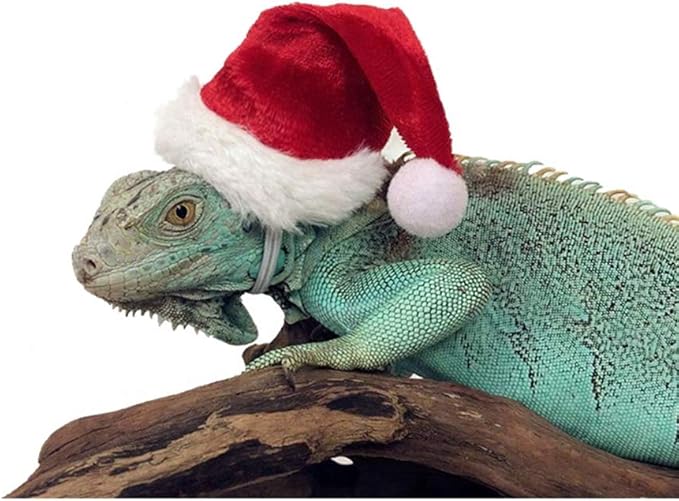 HAICHEN TEC Lizard Clothes for Bearded Dragons Christmas Hat Scarf Set Reptile Apparel Handmade Flannel Clothes HAICHENTEC